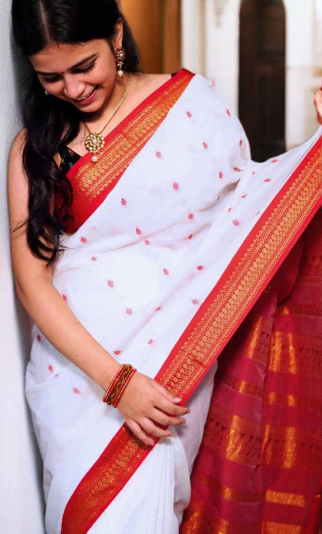 AGIRA - अगिरा (Premium Handloom Gadwal Silk Cotton)