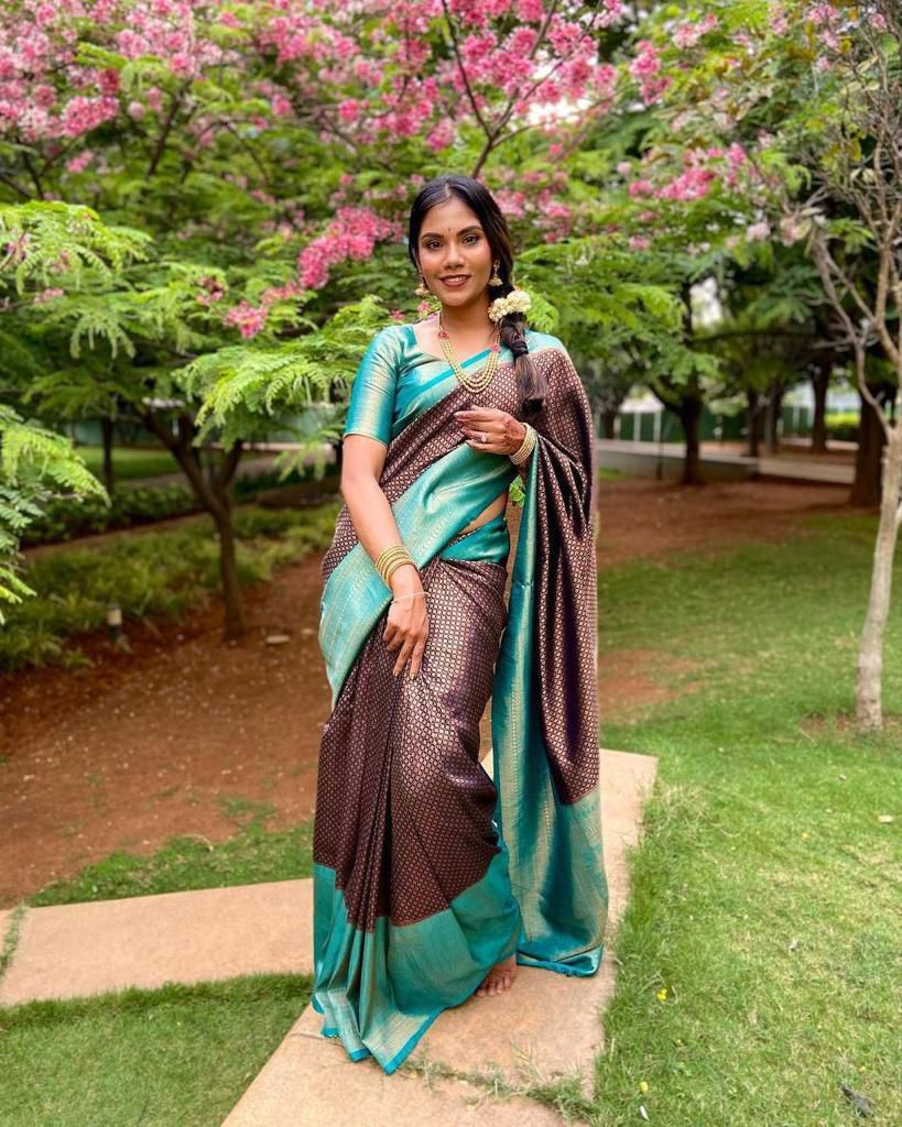 Brown Silky (Soft Art Silk Saree)